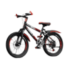 Kids Mountain Bike with Disc Brakes 20inch